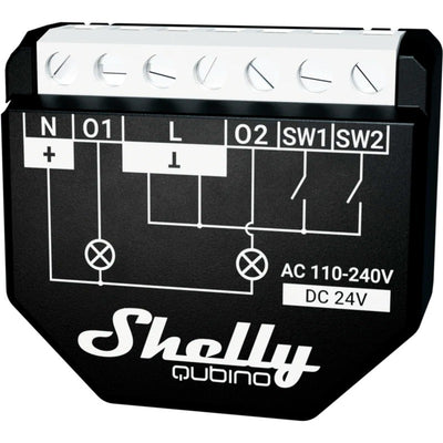 Shelly Qubino Wave 2PM