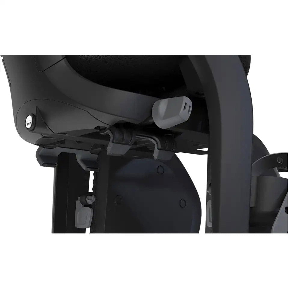 Thule child seats yepp 2 maxi frame back black