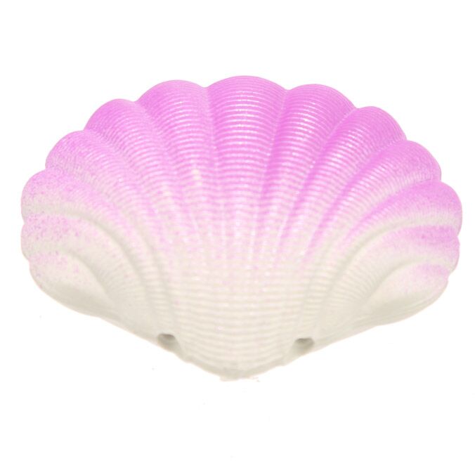 Zeemeermin uitkomende schelp