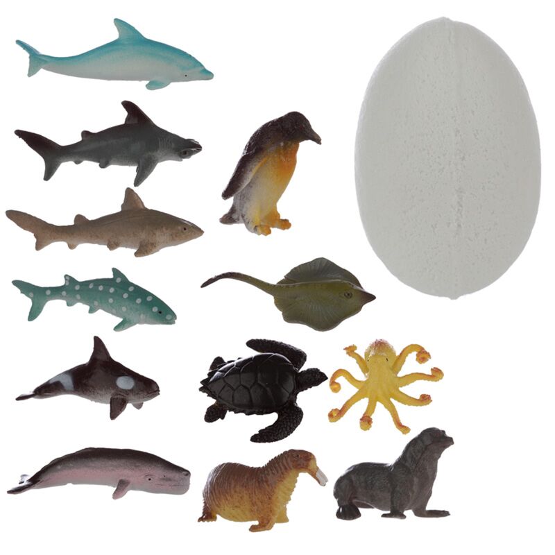 Zeeleven bruisende bom