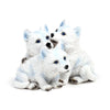 Wolf puppy trio