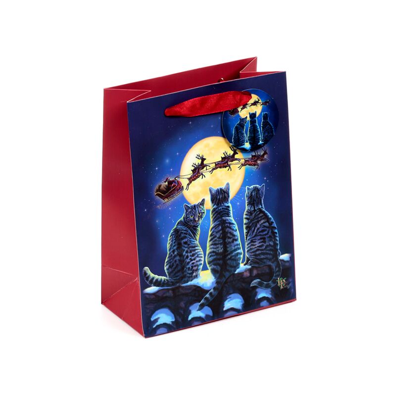 Lisa parker kerstmis katten - cadeautasje medium