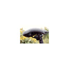 Selle royal s.p.a. zadel selle royal explora jr a057jr