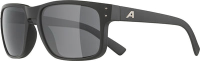 Alpina kosmic - sports glasses