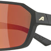 Alpina swift - sports glasses