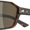 Alpina swift - sports glasses