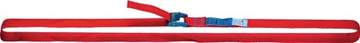 Dolezych sjorband | lengte 5 m | breedte 25 mm | met klemslot | lc omdr. 250 dan | 1 stuk - 42250216 42250216