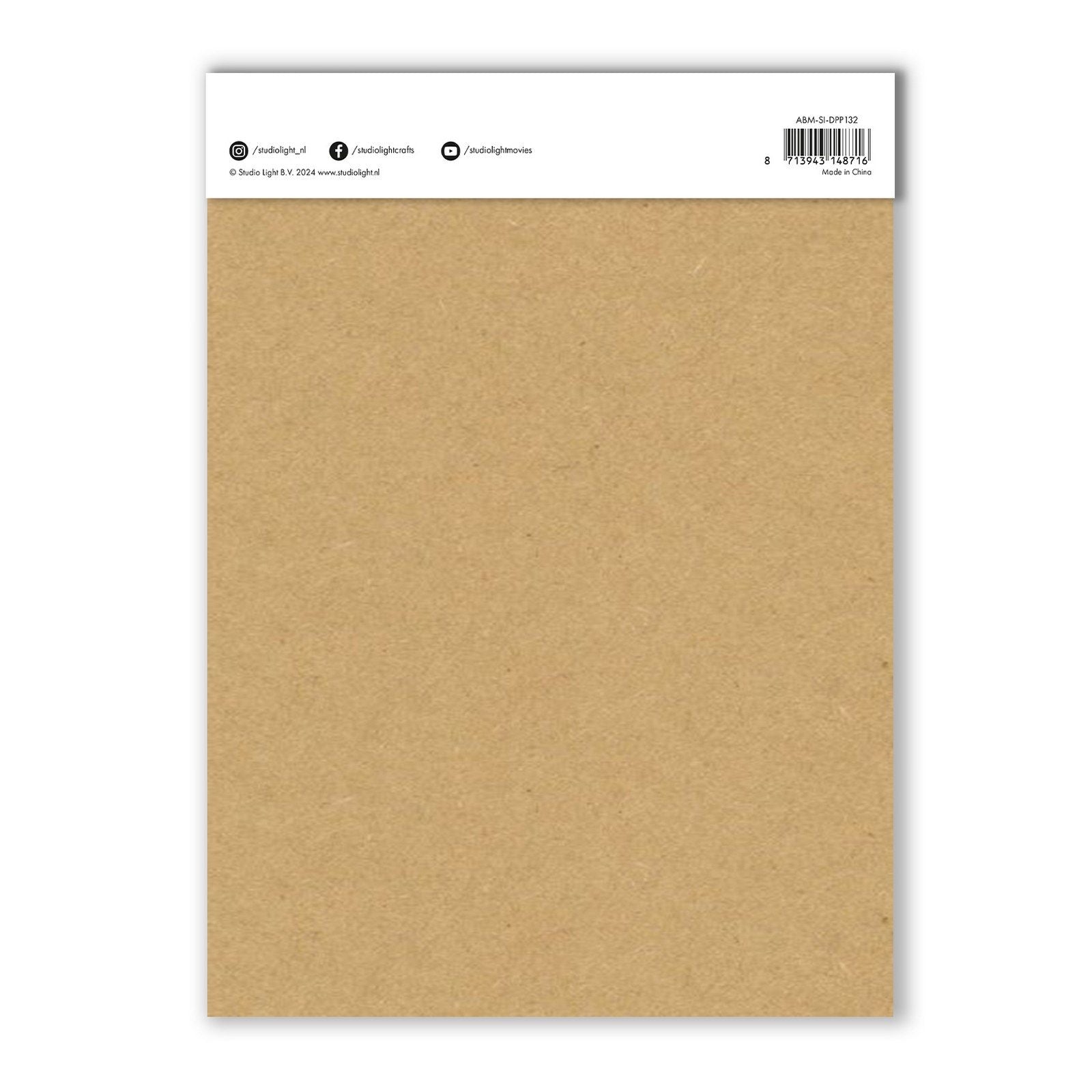 Studio light • signature collection designer paper pad postage madness