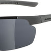 Alpina defey hr - sports glasses