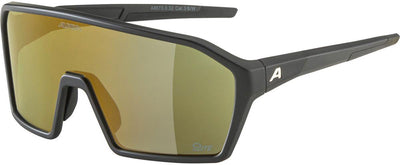 Alpina sports sportbril ram q-lite gouden spiegel zwart