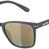Alpina yefe polarized - sunglasses