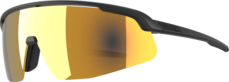 Alpina turbo pro s q - sports glasses