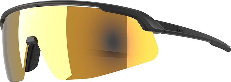 Alpina turbo pro s q - sports glasses