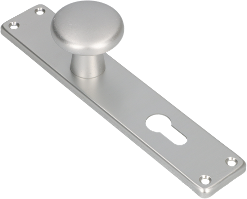 Ami knop 160 50 vast langschild 212 41 rh profielcilinder 72 f1 - 313796