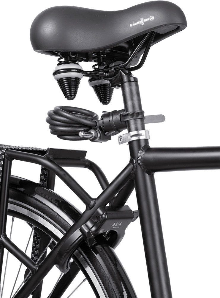 AXA Newton Plug In - 150cm - zwart