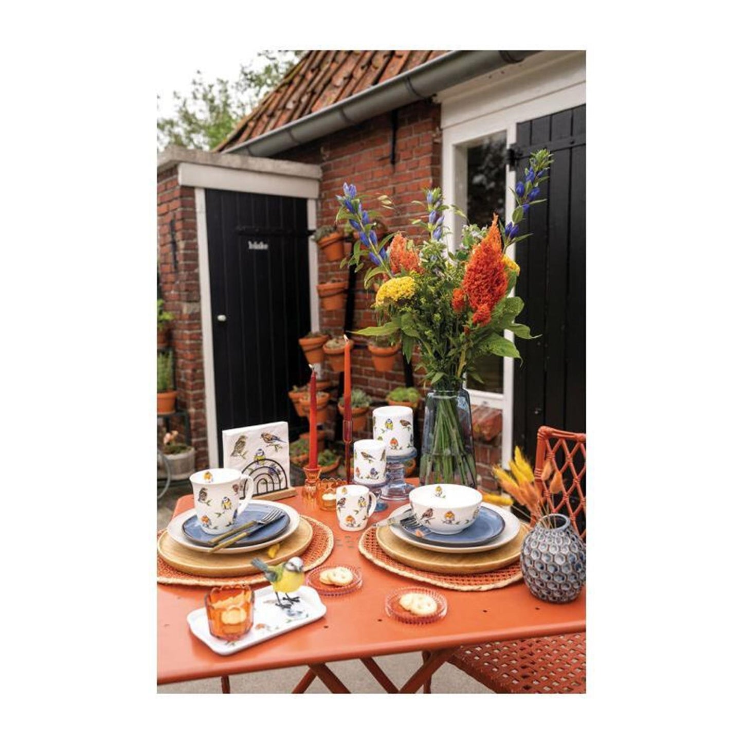 Ambiente servet 25 bird species white