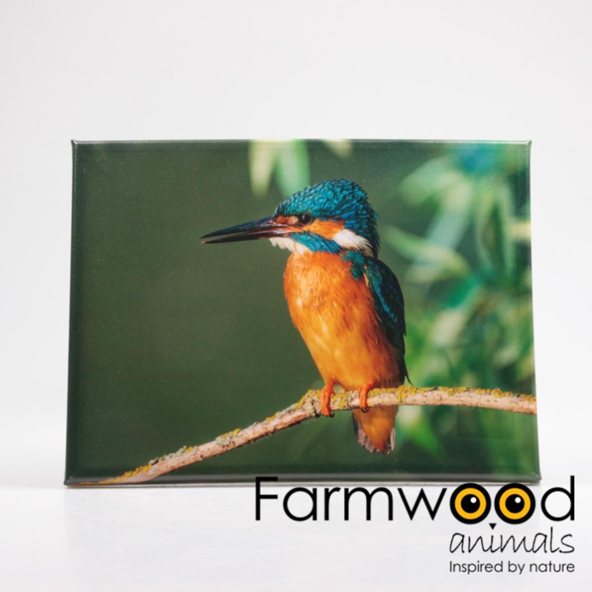 Farmwood animals buitenschilderij ijsvogel 30x40cm
