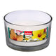 Bolsius outdoor glas wit 62 106mm