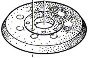 Bosch accessoires schuurvoet voor bosch gex 125-1 ae | 2609100541 - 2609100541