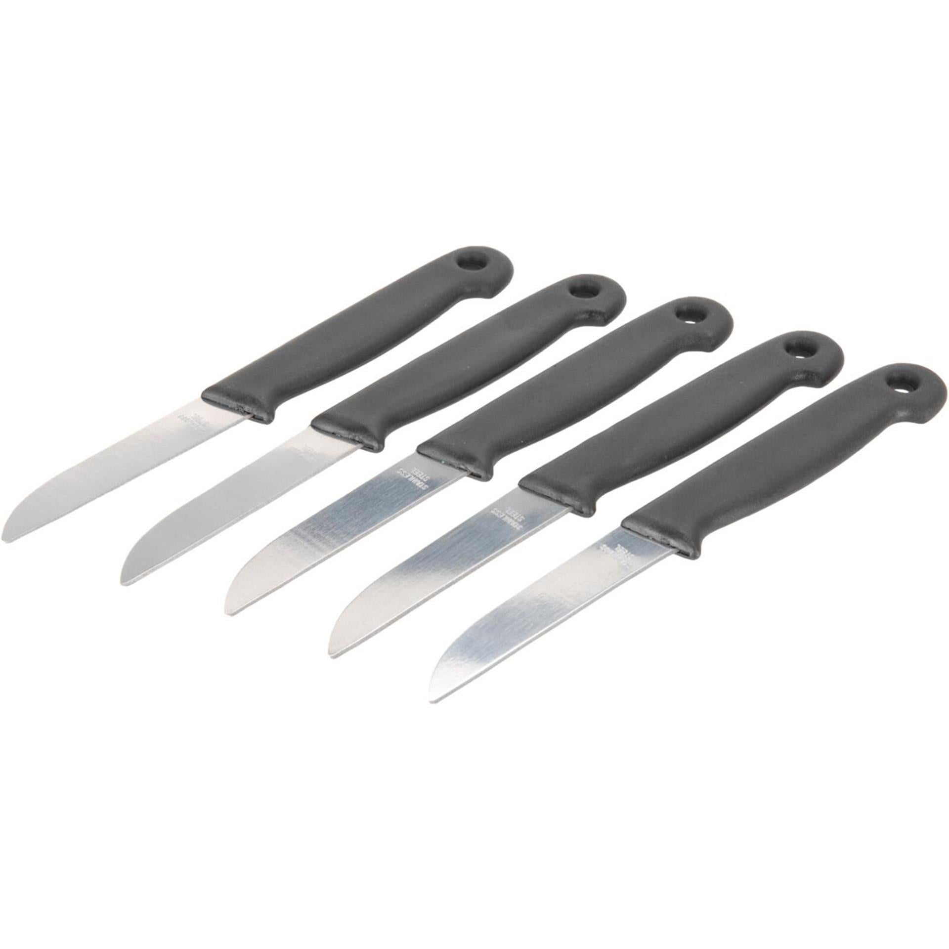 Excellent houseware schilmessenset 5-delig