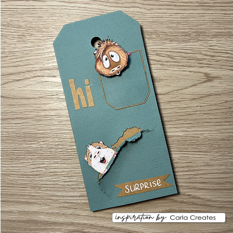 Vaessen creative • clear stamps guinea pigs 3 8st.