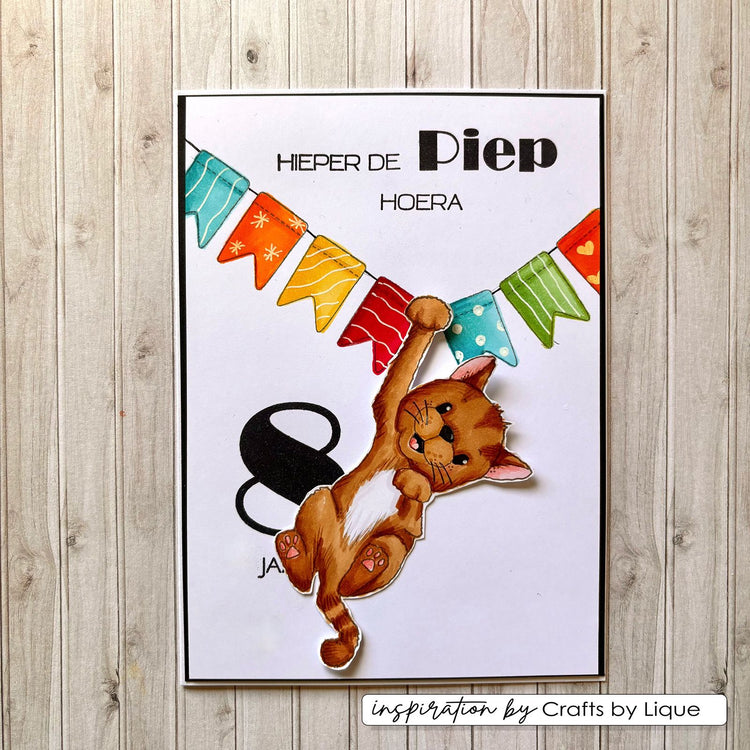 Vaessen creative • clear stamps odey's birthday party 2 12st.