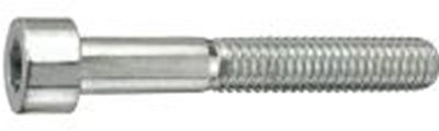 Connex binnenzeskantbout cy m10x100 * 2 vz - ky4121100
