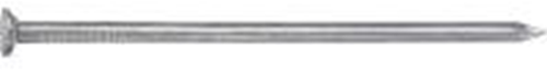 Connex nagel platte kop 2.0x40 750g vz - kk1042040