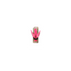 crussis bottleholder light red