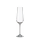 Crystal bohemia champagneglas ardea 220ml 6 stuks