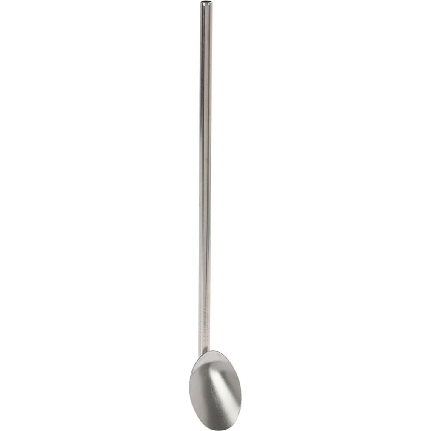 Excellent houseware rietjes rvs met lepel