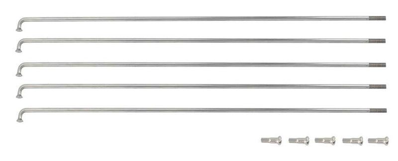 Sapim spaak 13x160 rvs m nippel 13 14mm zi ds a 5