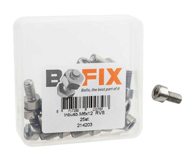Inbusbout M6x12 RVS per 25