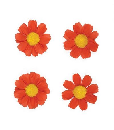 Basil flower 4 magrietjes rood 50188