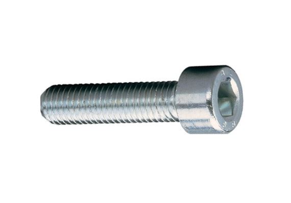 Bofix inbusbout m8 x 35 rvs