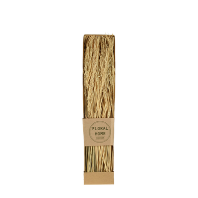 Droogbloemen lagurus 60cm bussel