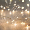 Duif lichtslinger led 30 leds 300cm