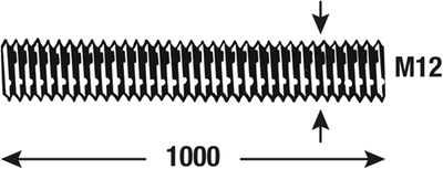 Connex draadstang m12 1m vz - dy250705