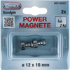 Connex magneet neodym greep d12mm 2st 2kg - dy7100022