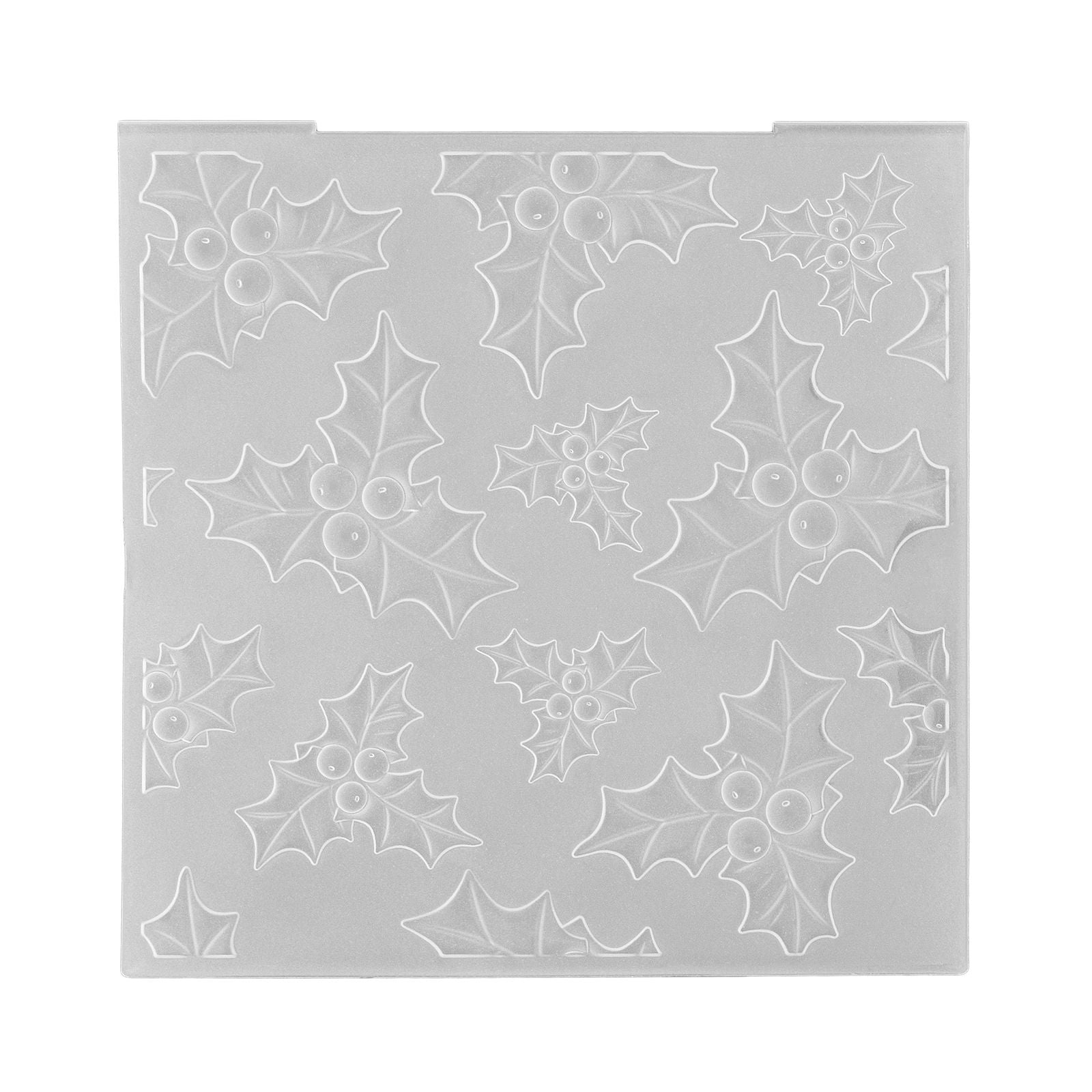 Nellie's choice • 3d embossing folder achtergrond hulst 15x15cm