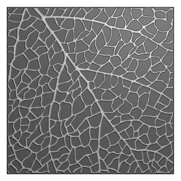 Nellie's choice • 3d embossing folder achtergrond bladafdruk 15x15cm