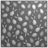 Nellie's choice • 3d embossing folder achtergrond konijnen en paaseieren 15x15cm