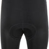 Endurance gorsk windblock - bib tights with pad | 3xl