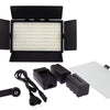 Falcon Eyes Bi-Color LED Lamp Set Dimbaar DV-384CT-K2 incl. Accu