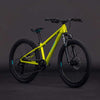 Cube acid 240 disc lizard´n´blue