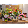Gardena vakantiebewateringsset aquabloom set besproeiingscomputer (grijs, 13300-20, accu inbegrepen)