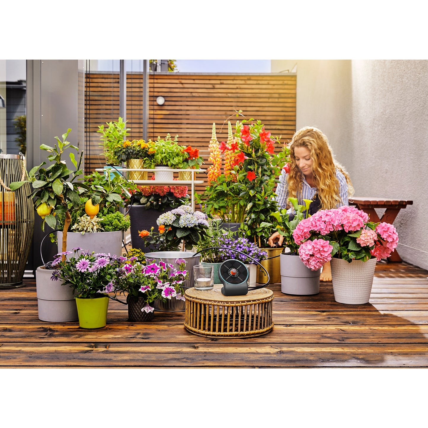 Gardena vakantiebewateringsset aquabloom set besproeiingscomputer (grijs, 13300-20, accu inbegrepen)