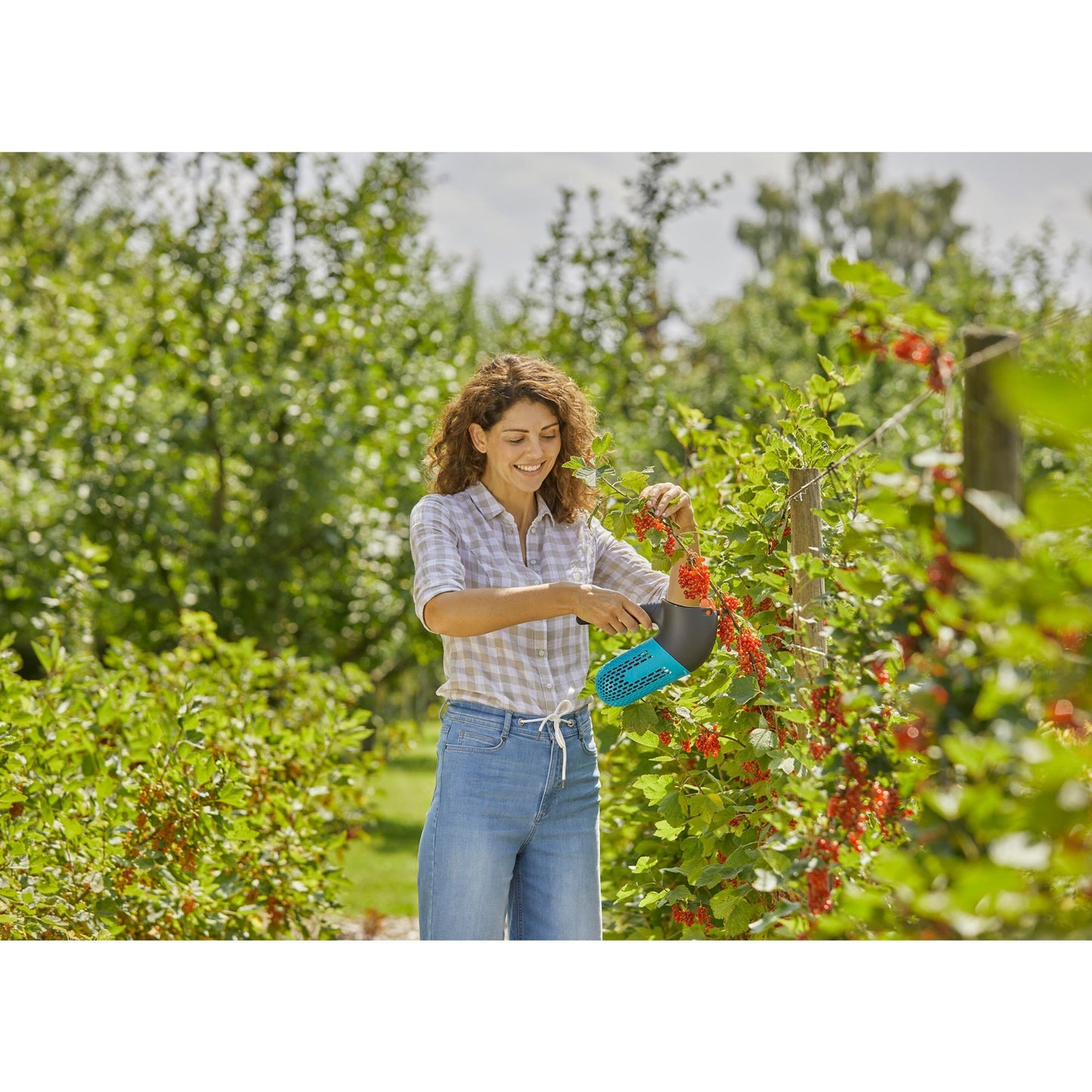 Gardena combisystem bessenplukker fruitplukker (zwart turquoise)