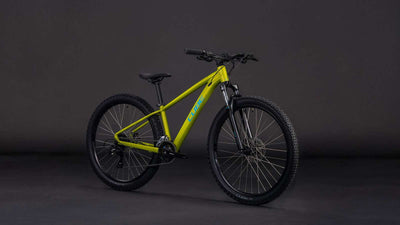 Cube acid 260 disc lizard´n´blue