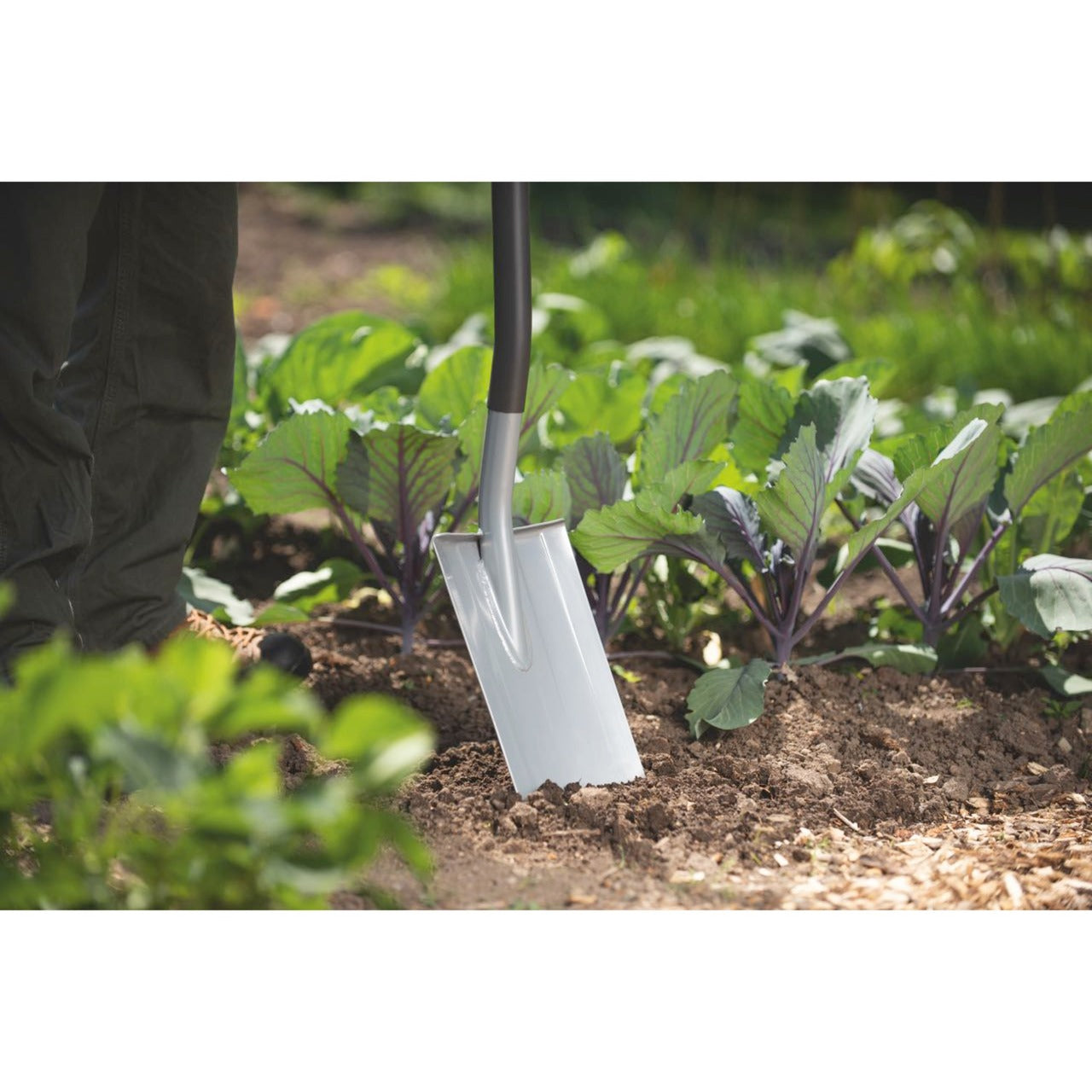 Wolf-garten herenspade as-d (rood grijs)